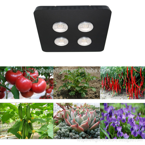 800W Unique Design Double Power Spider 4 Plus COB Led Grow Light hydroponic Indoor Greenhouse Plant